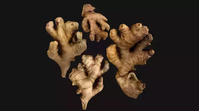 Ginger root Low-poly 3D model