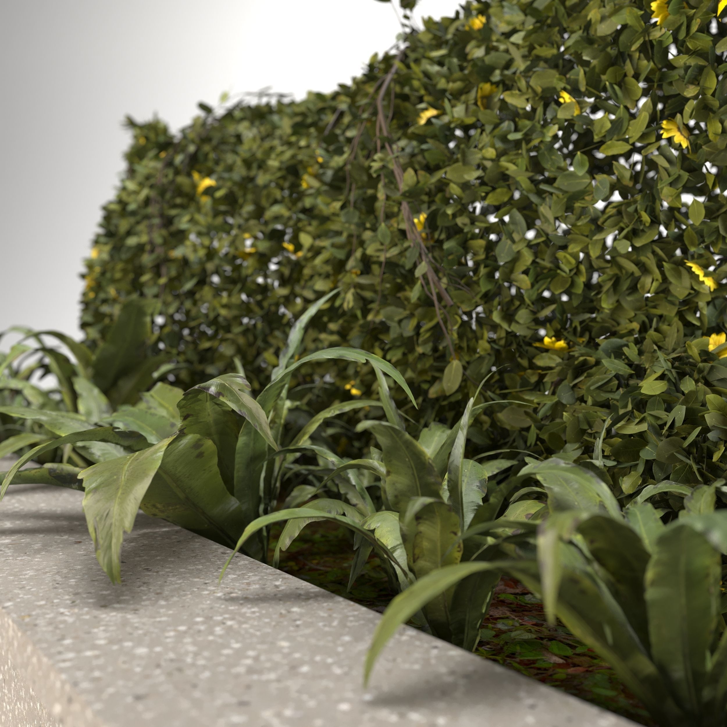 Topiary Deer 3D model_14