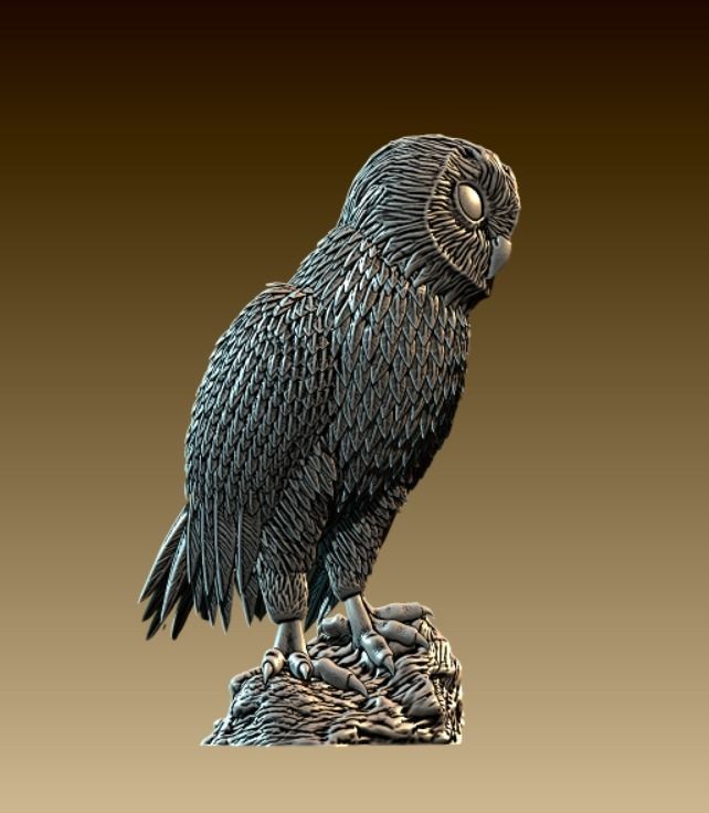 Barn Owl  3D print model_2