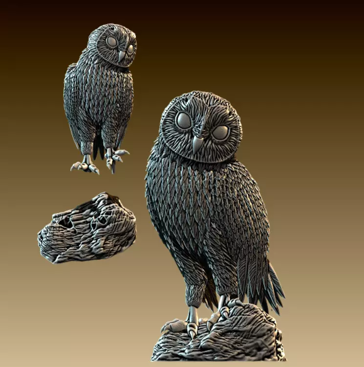 Barn Owl  3D print model_0