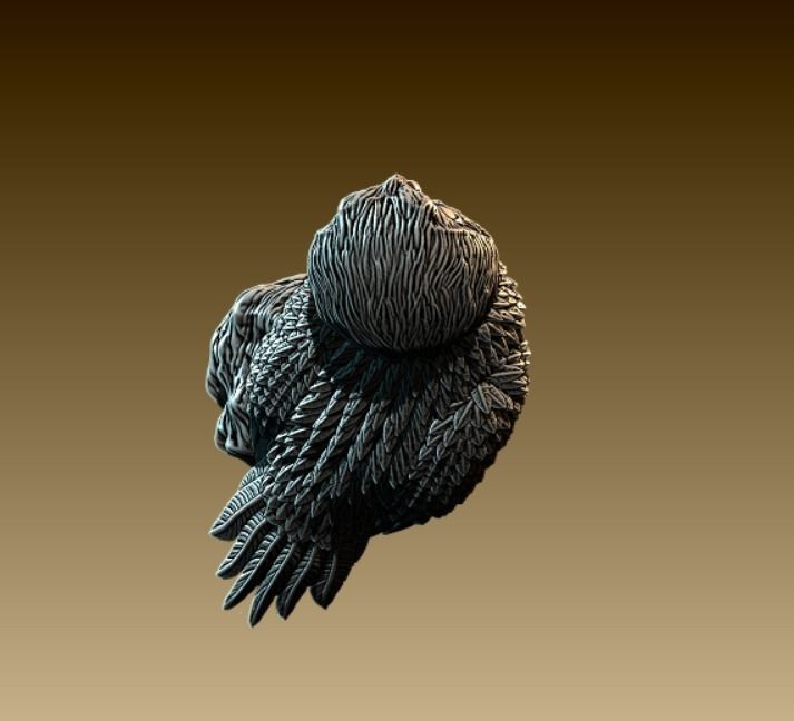 Barn Owl  3D print model_4