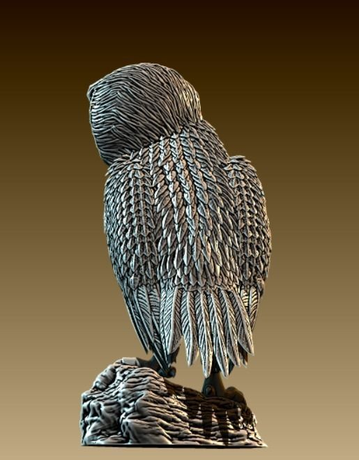 Barn Owl  3D print model_3