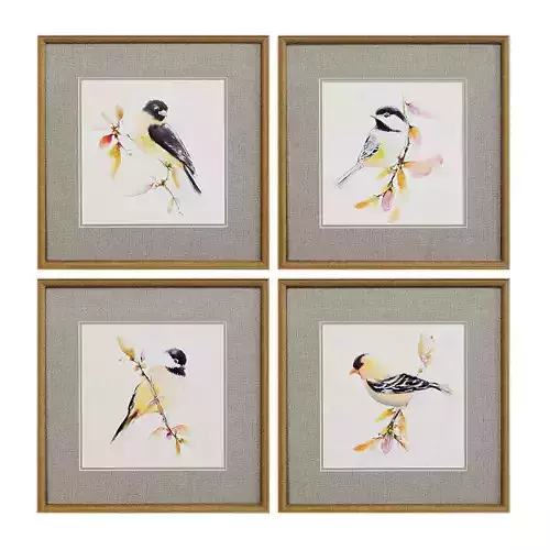 Pictures896 four framed bird prints