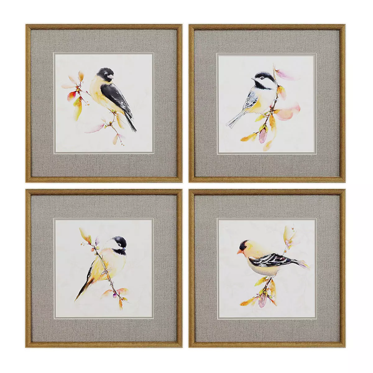 Pictures896 four framed bird prints Low-poly 3D model_0