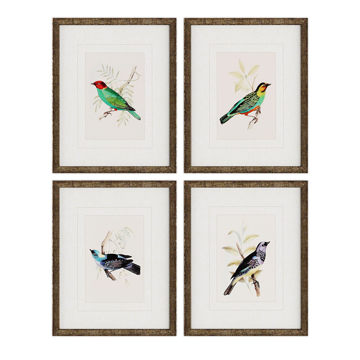 Pictures896 four framed bird prints Low-poly 3D model_1