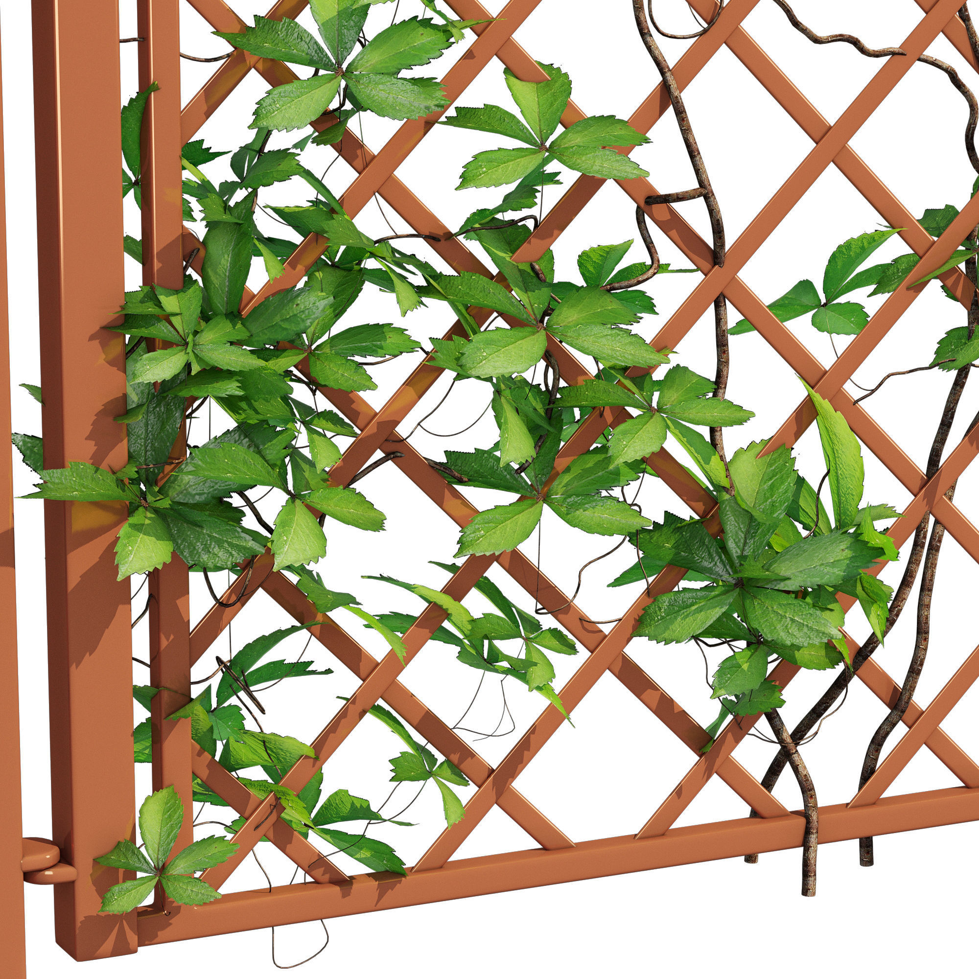 Portofino wooden bench with ivy 3D model_6