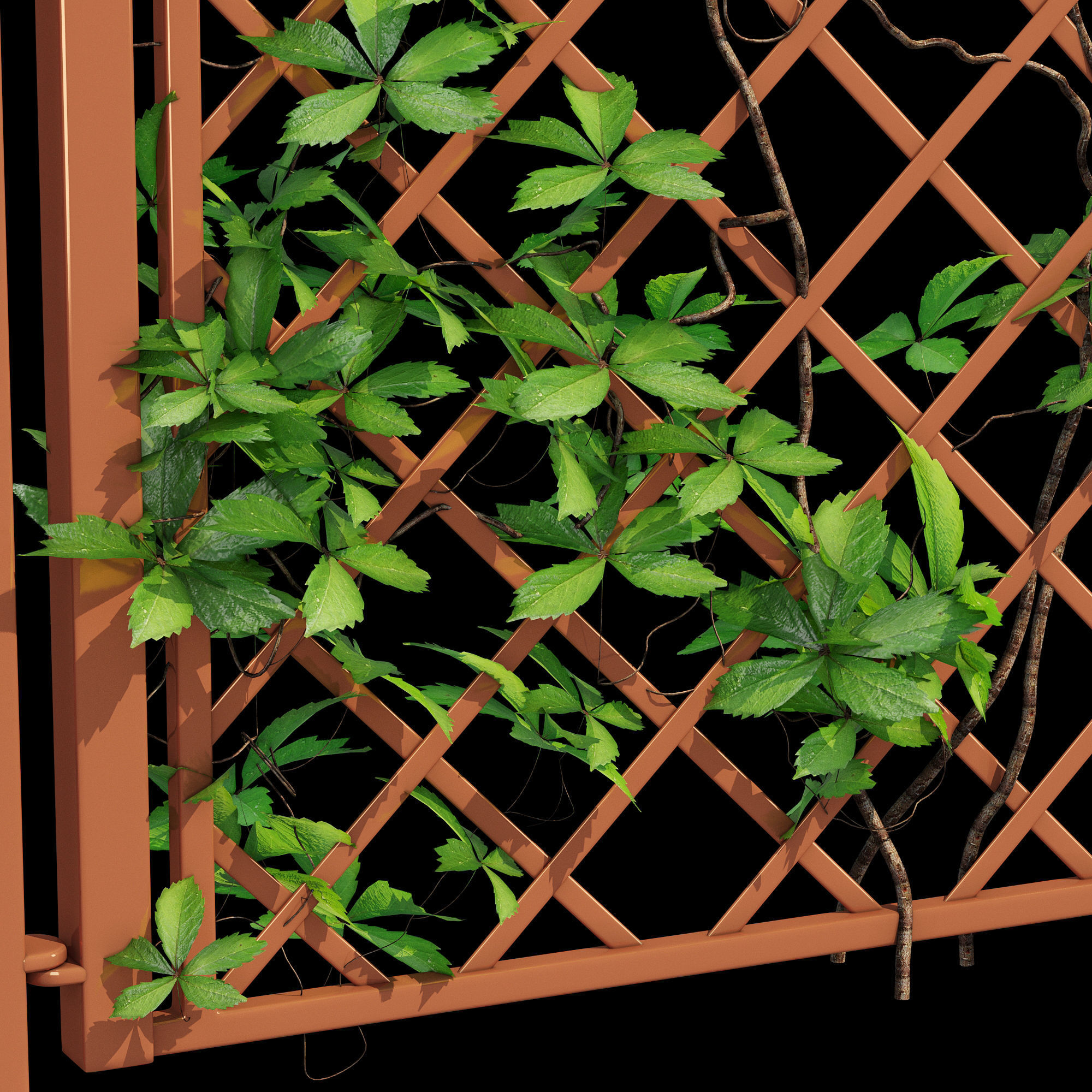 Portofino wooden bench with ivy 3D model_15