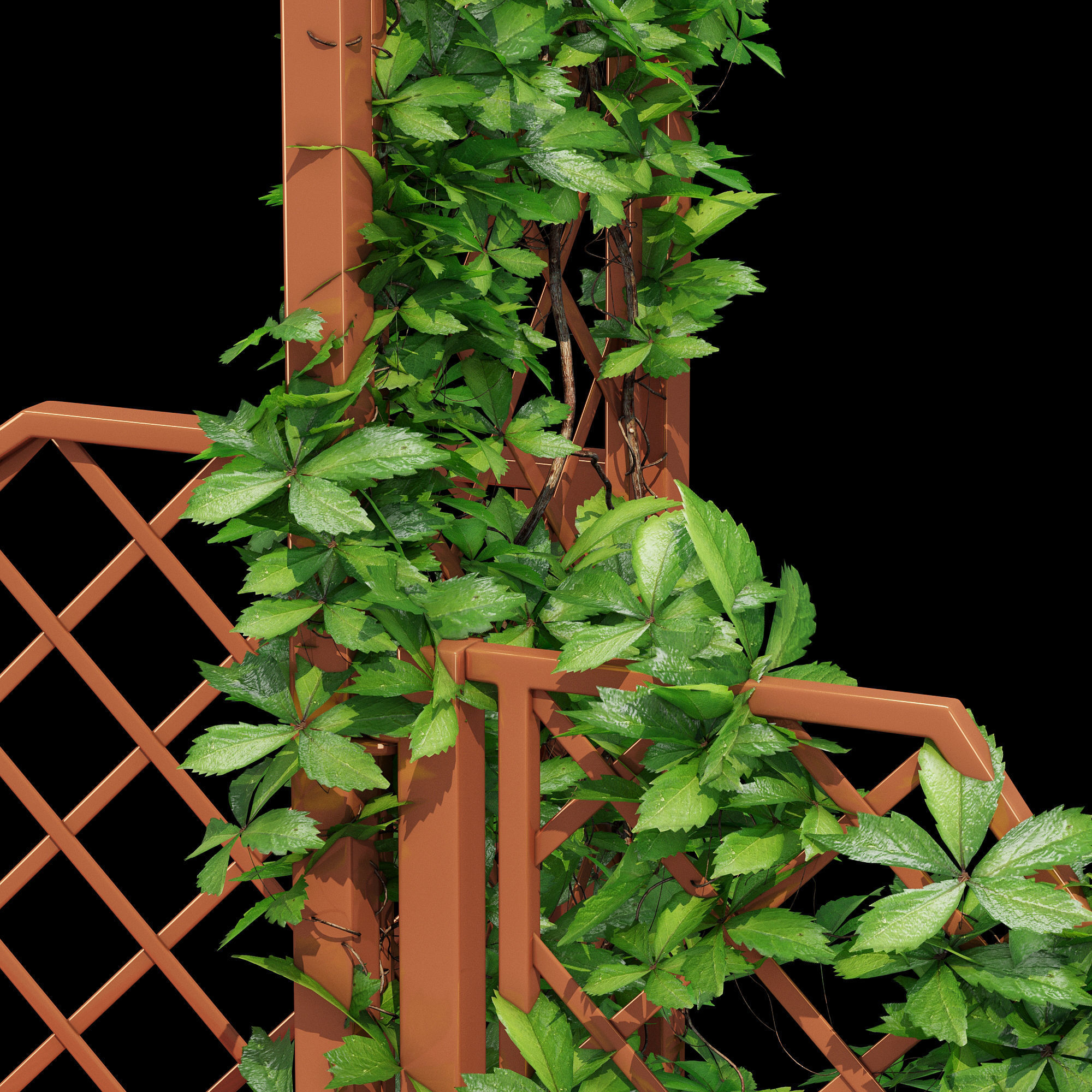 Portofino wooden bench with ivy 3D model_16
