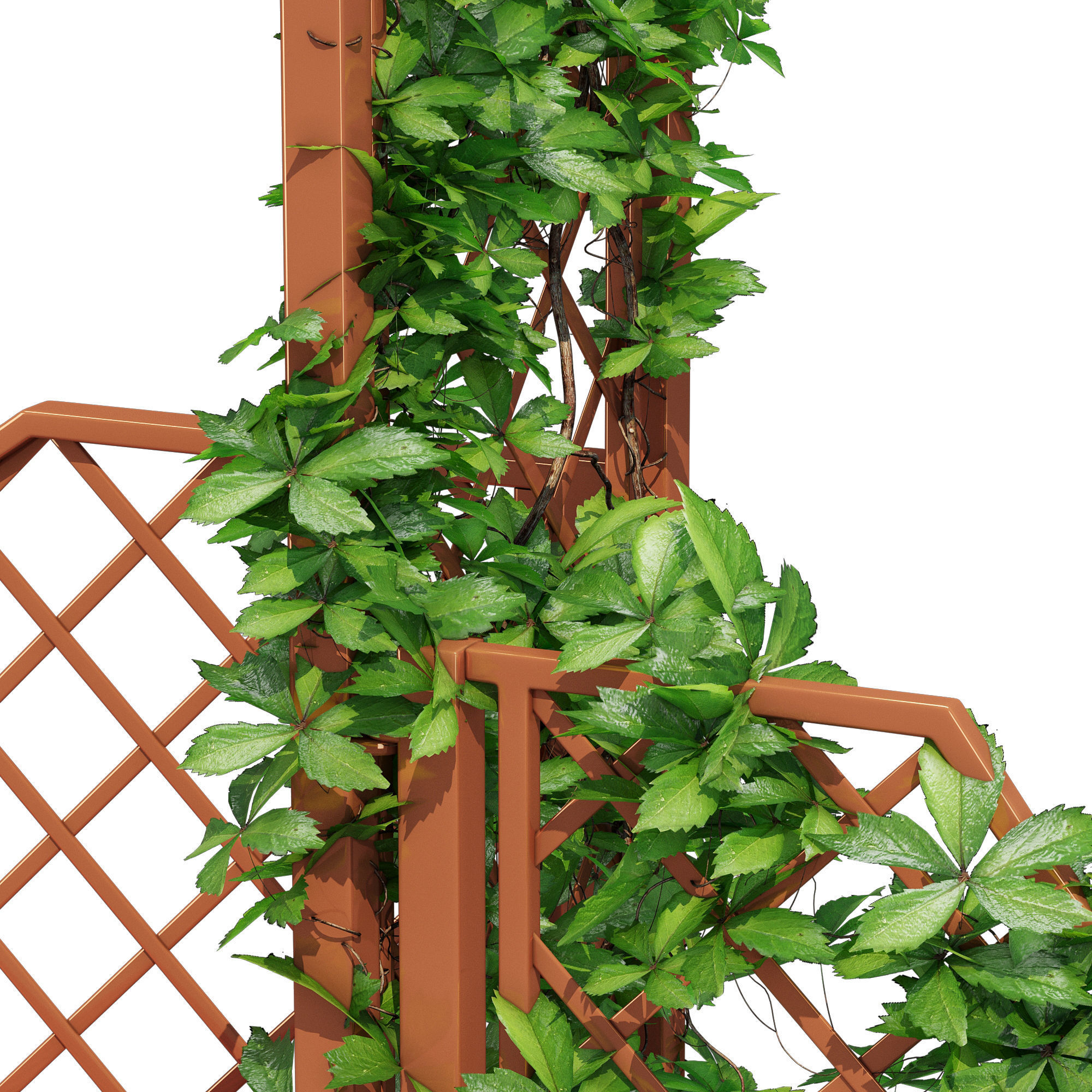 Portofino wooden bench with ivy 3D model_7