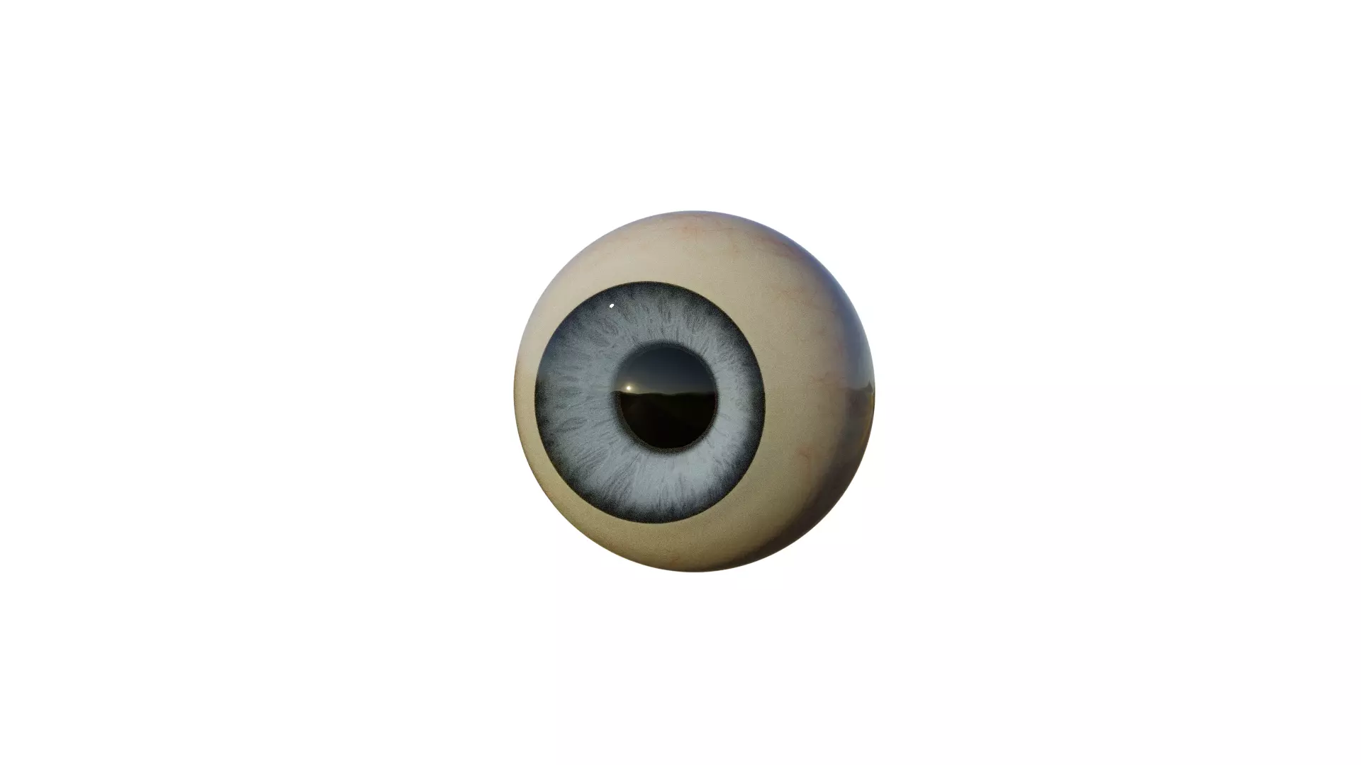 Eye Procedural Native for EVEE and Cycles 3D model_0