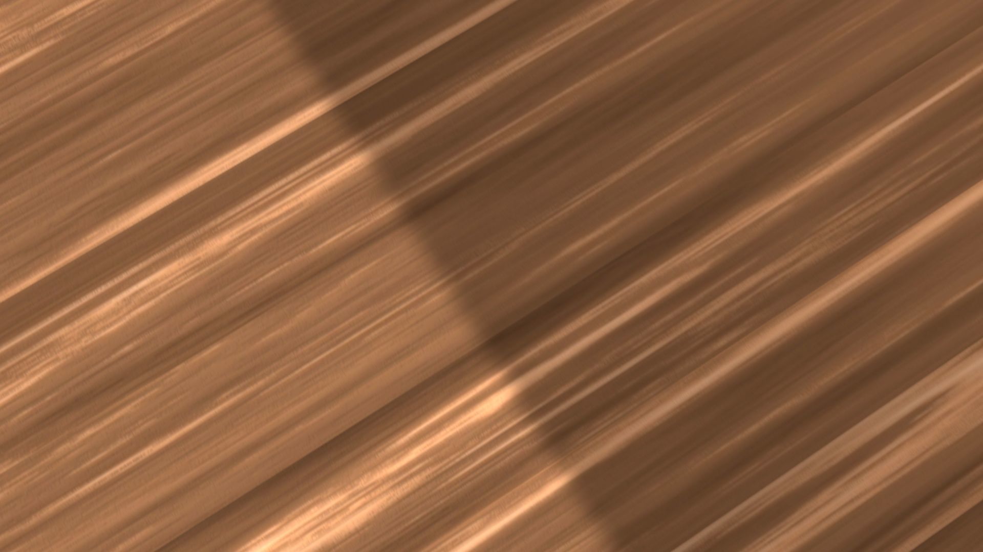 NPR Log Cabin 3D model_19