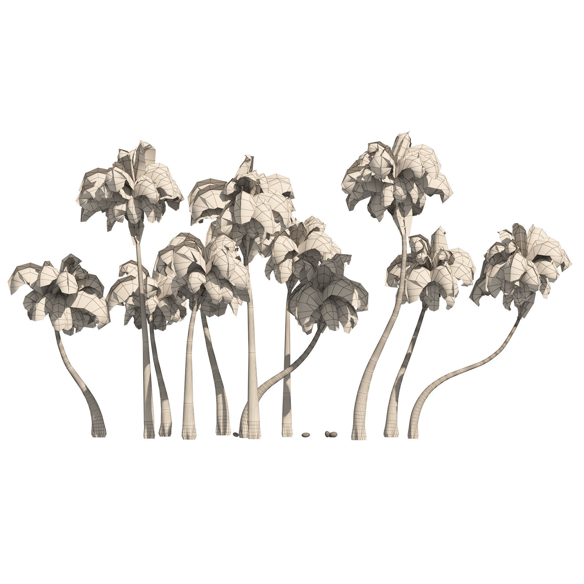 Coconut tree beach Low-poly 3D model_6