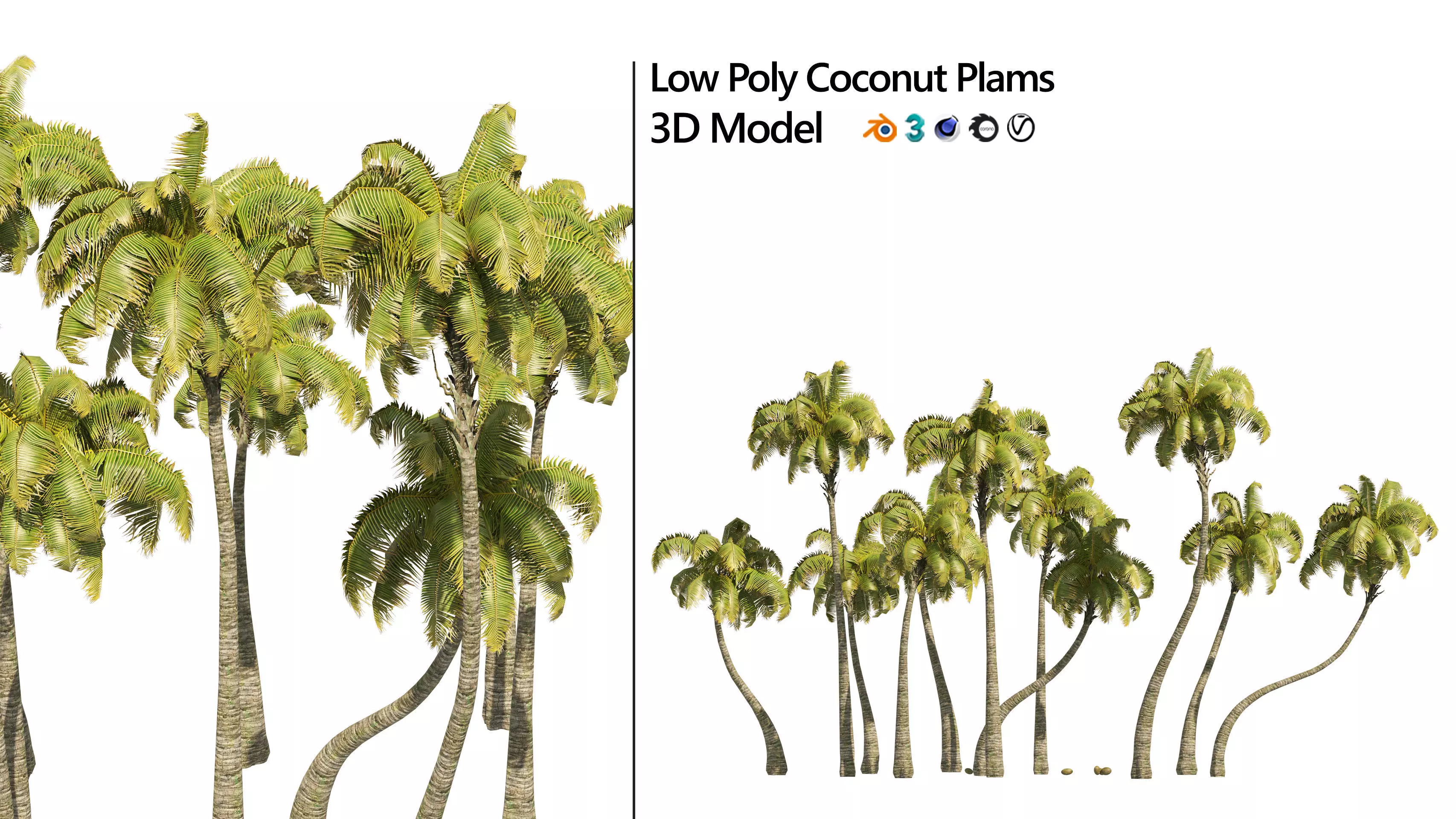 Coconut tree beach Low-poly 3D model_0