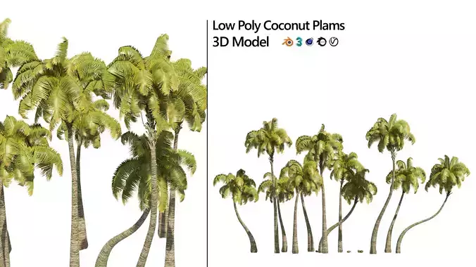 Coconut tree beach Low-poly 3D model