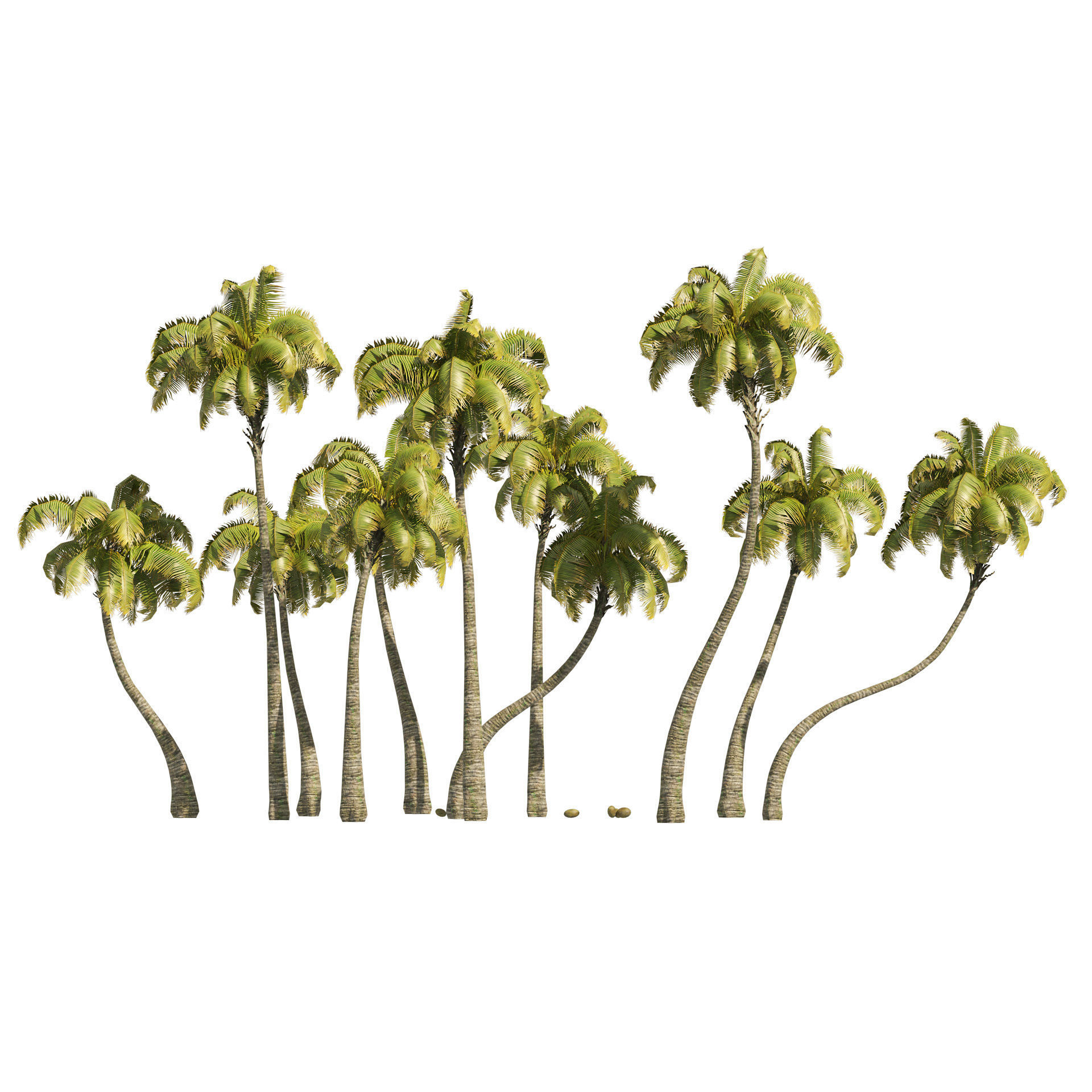 Coconut tree beach Low-poly 3D model_1