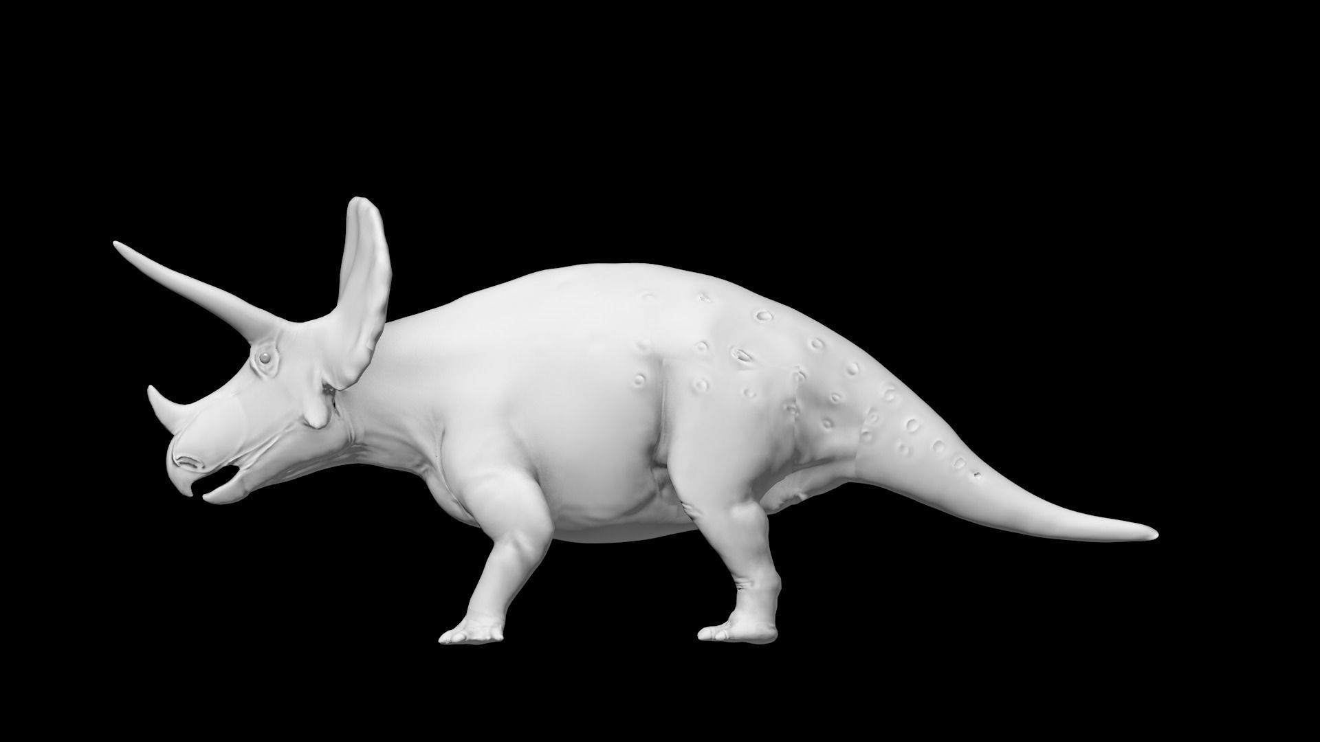 Triceratops Base Mesh Low-poly 3D model_2