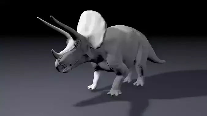 Triceratops Base Mesh