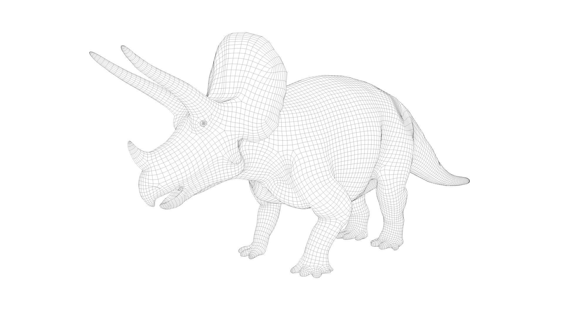 Triceratops Base Mesh Low-poly 3D model_4