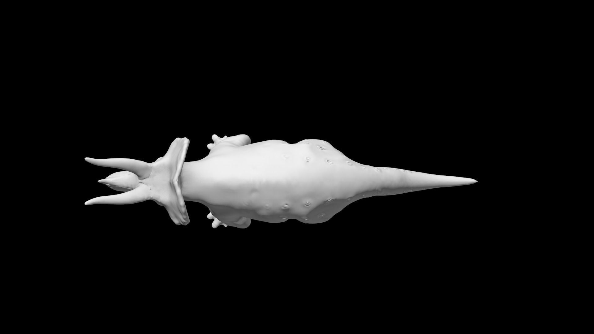 Triceratops Base Mesh Low-poly 3D model_3