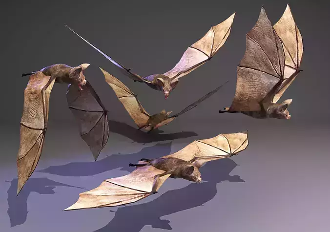 batbatbatbat flying bats Low-poly 3D model
