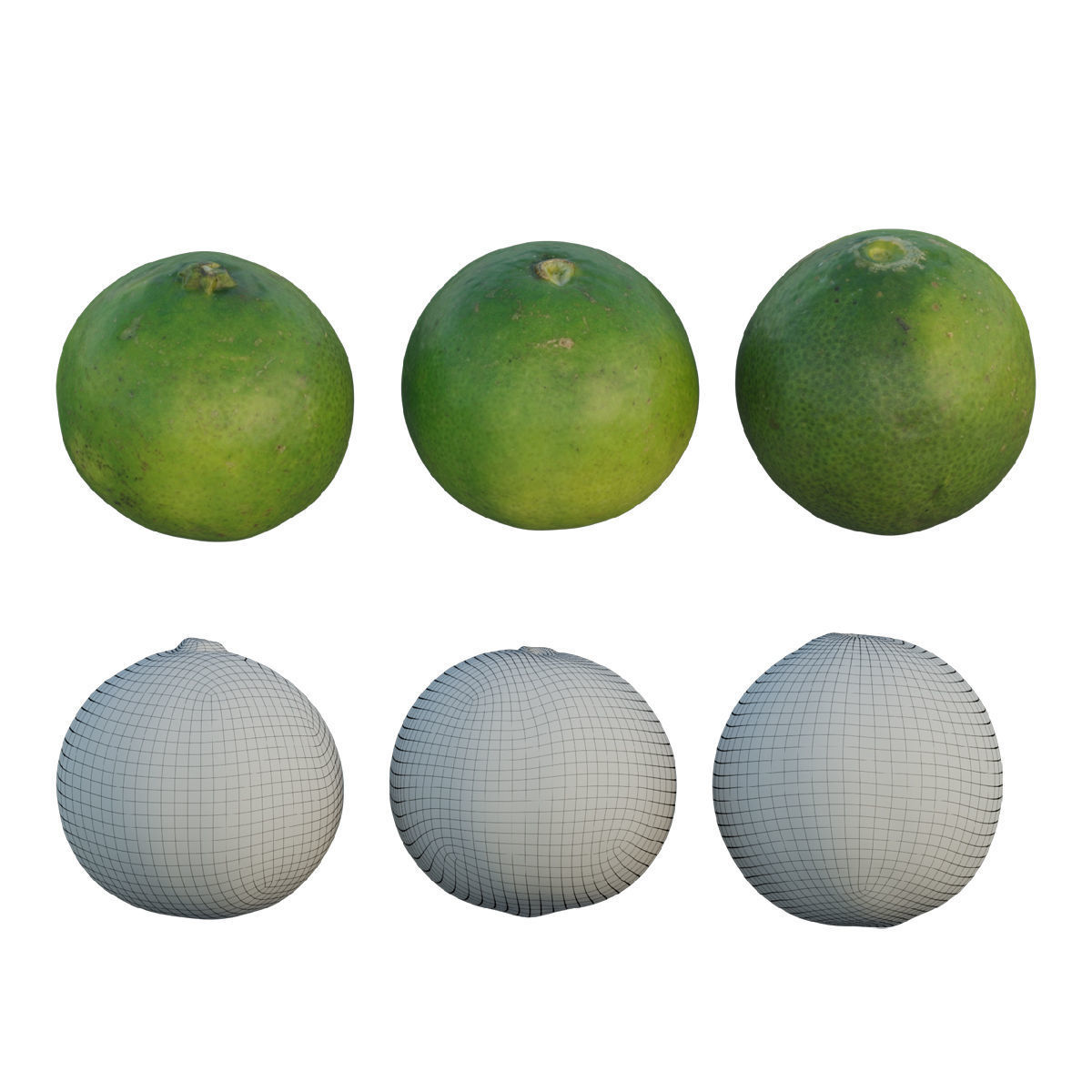 lime 02 3D model_1