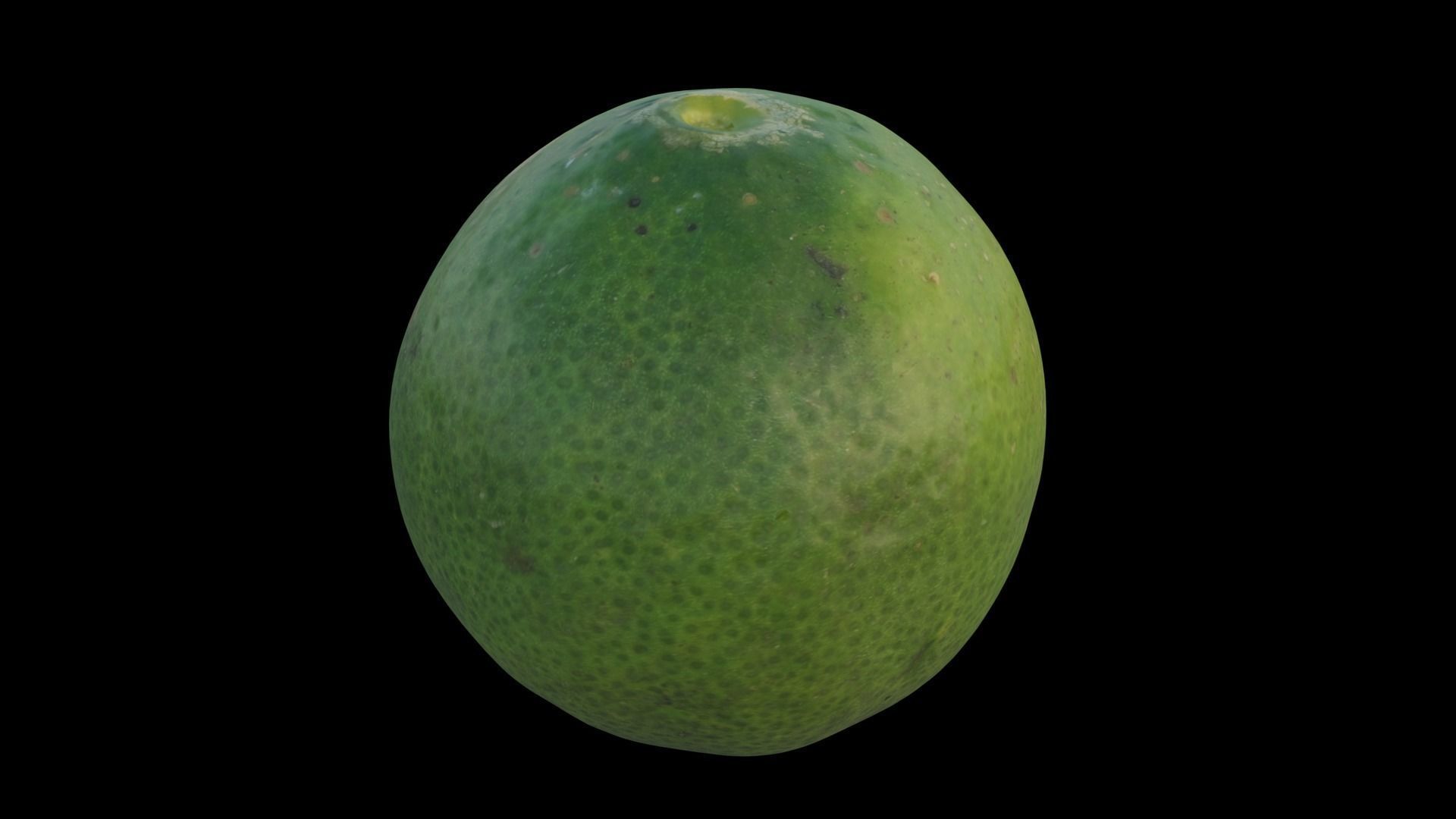lime 02 3D model_14