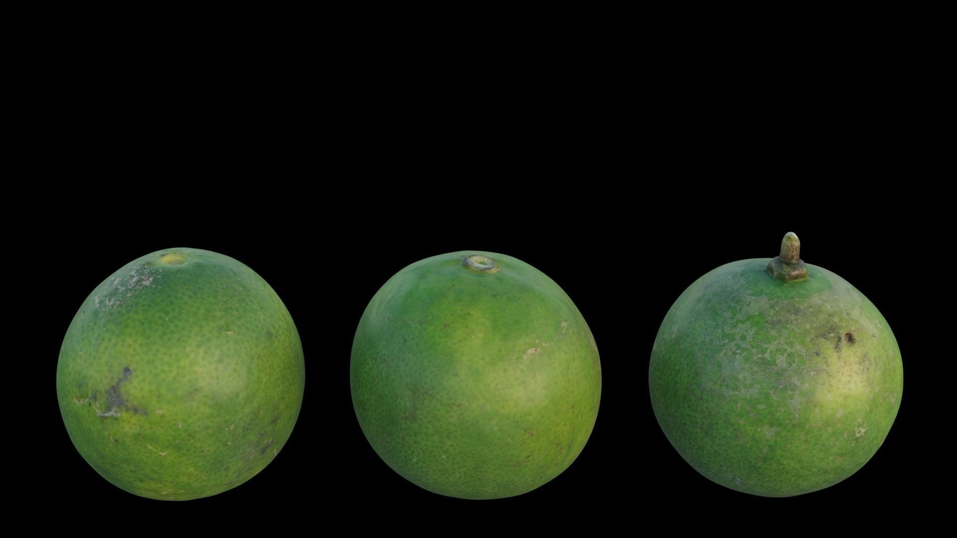 Lime 03 3D model_10