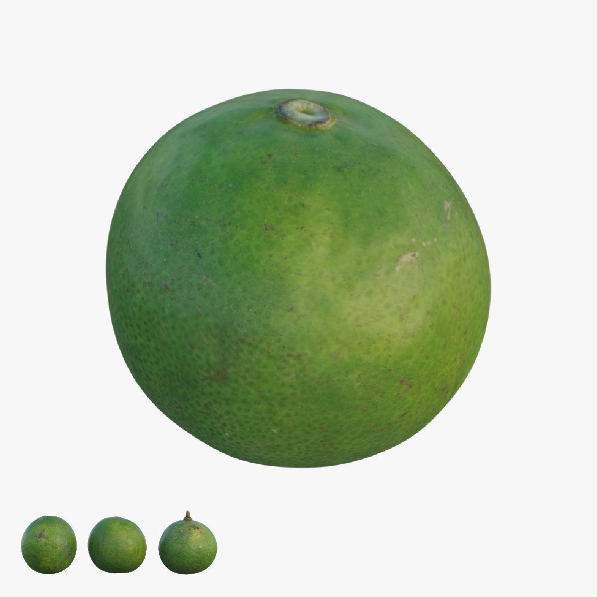 Lime 03 3D model_17