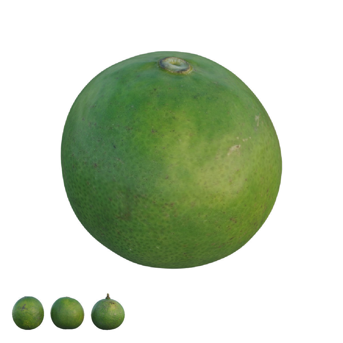 Lime 03 3D model_1