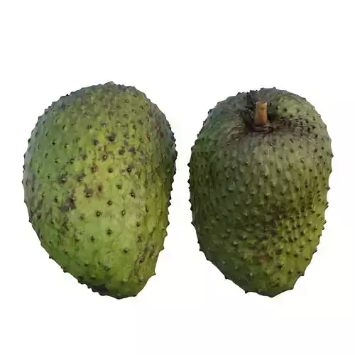 soursop guava fruit