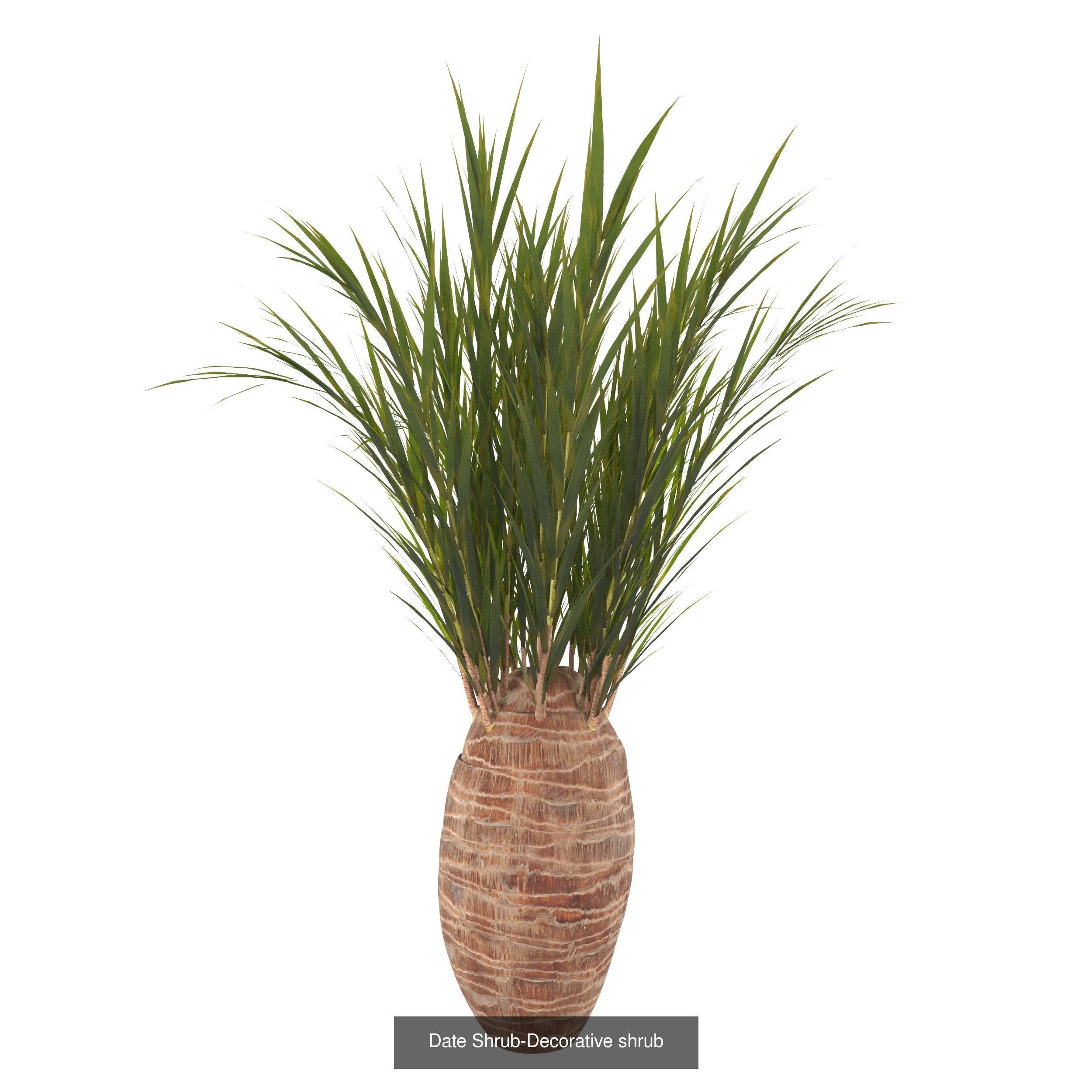 plant collection tree _2