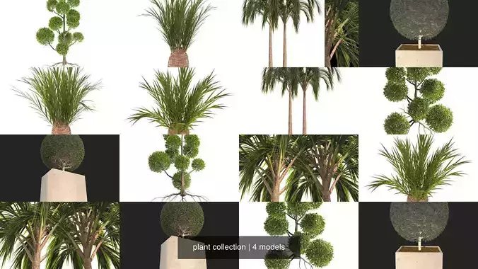 plant collection tree