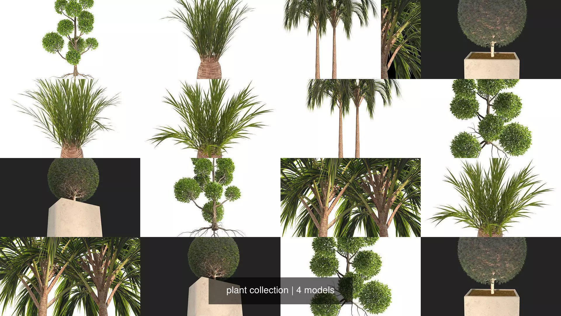 plant collection tree _0