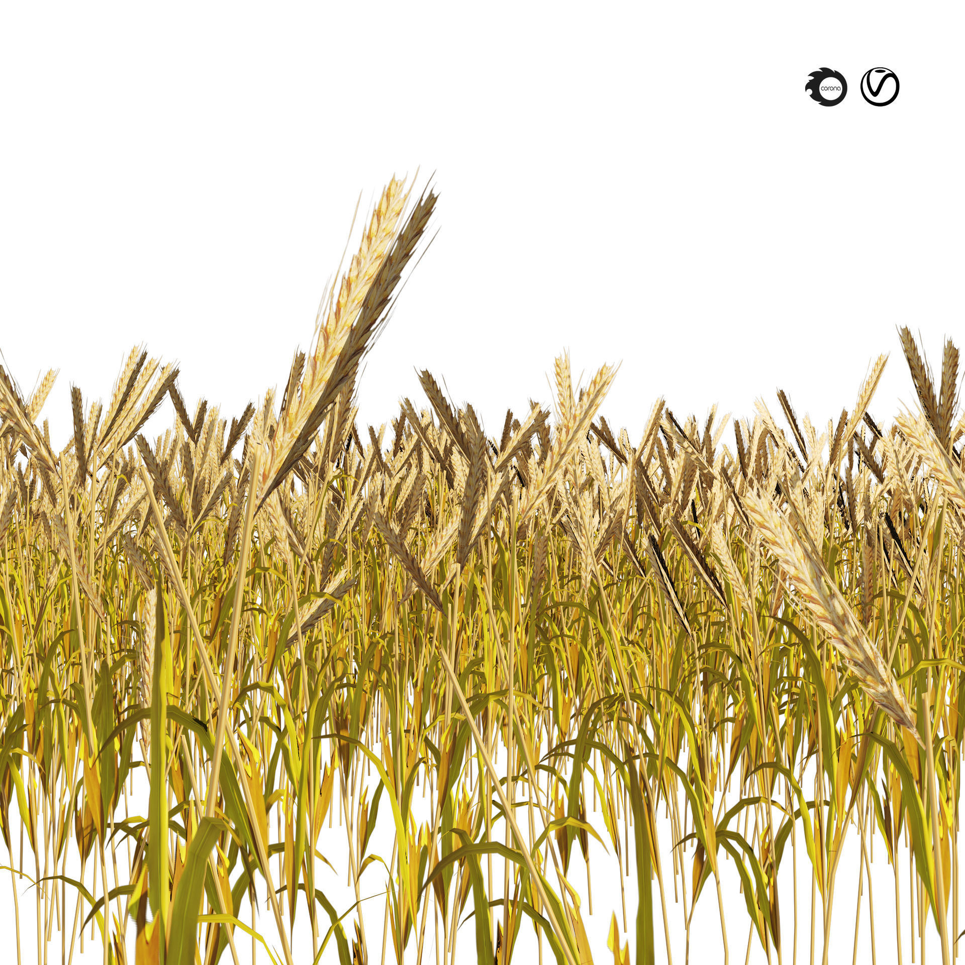 Golden wheat field Low-poly 3D model_6
