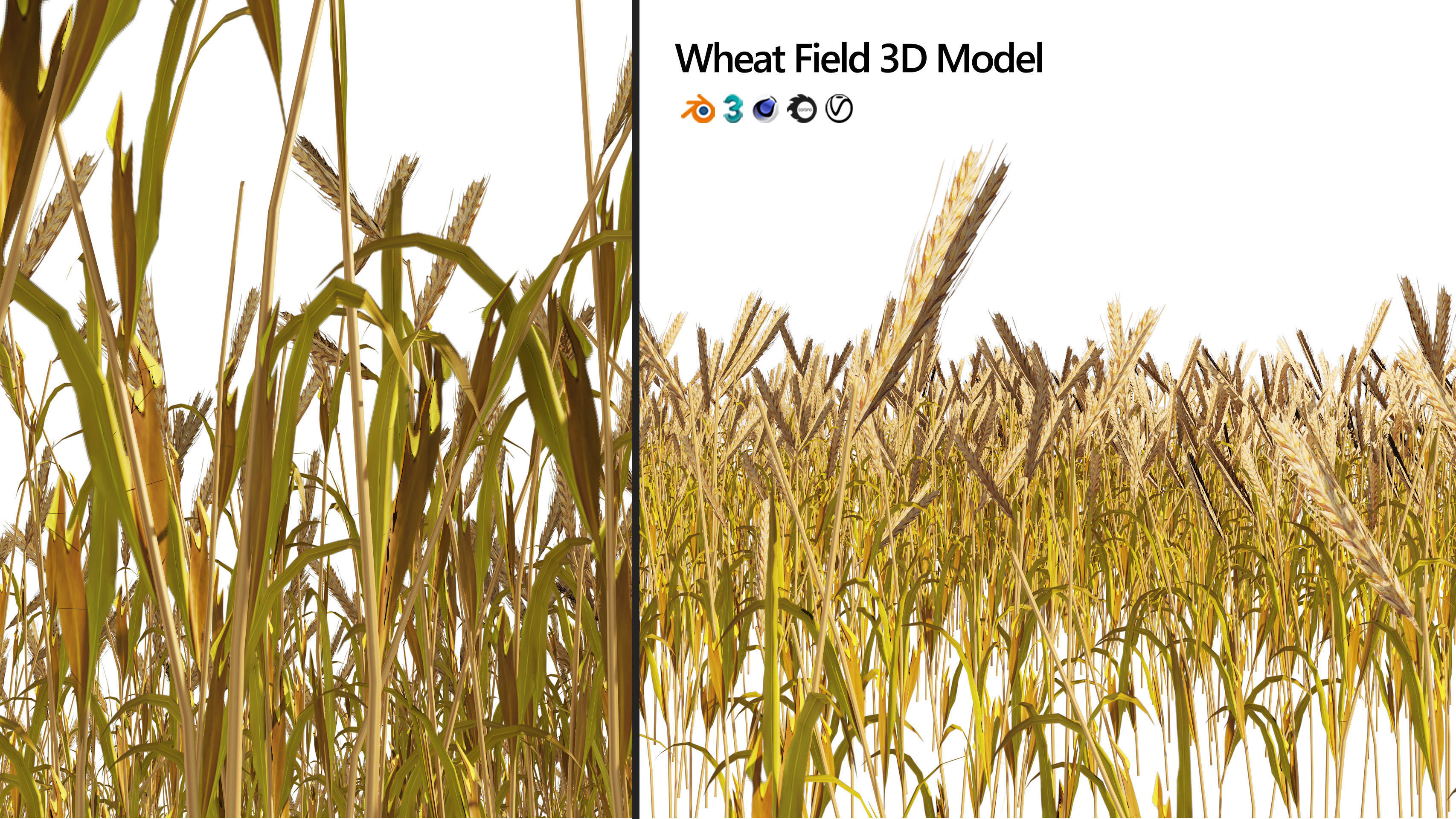 Golden wheat field Low-poly 3D model_5