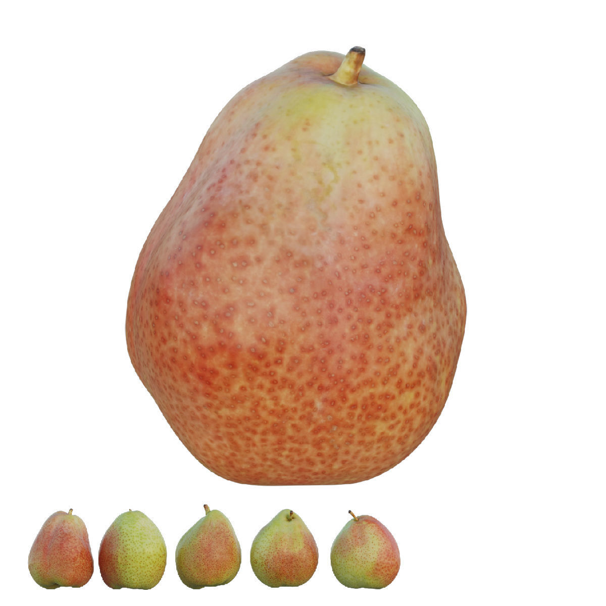Cheeky pear 02 3D model_1