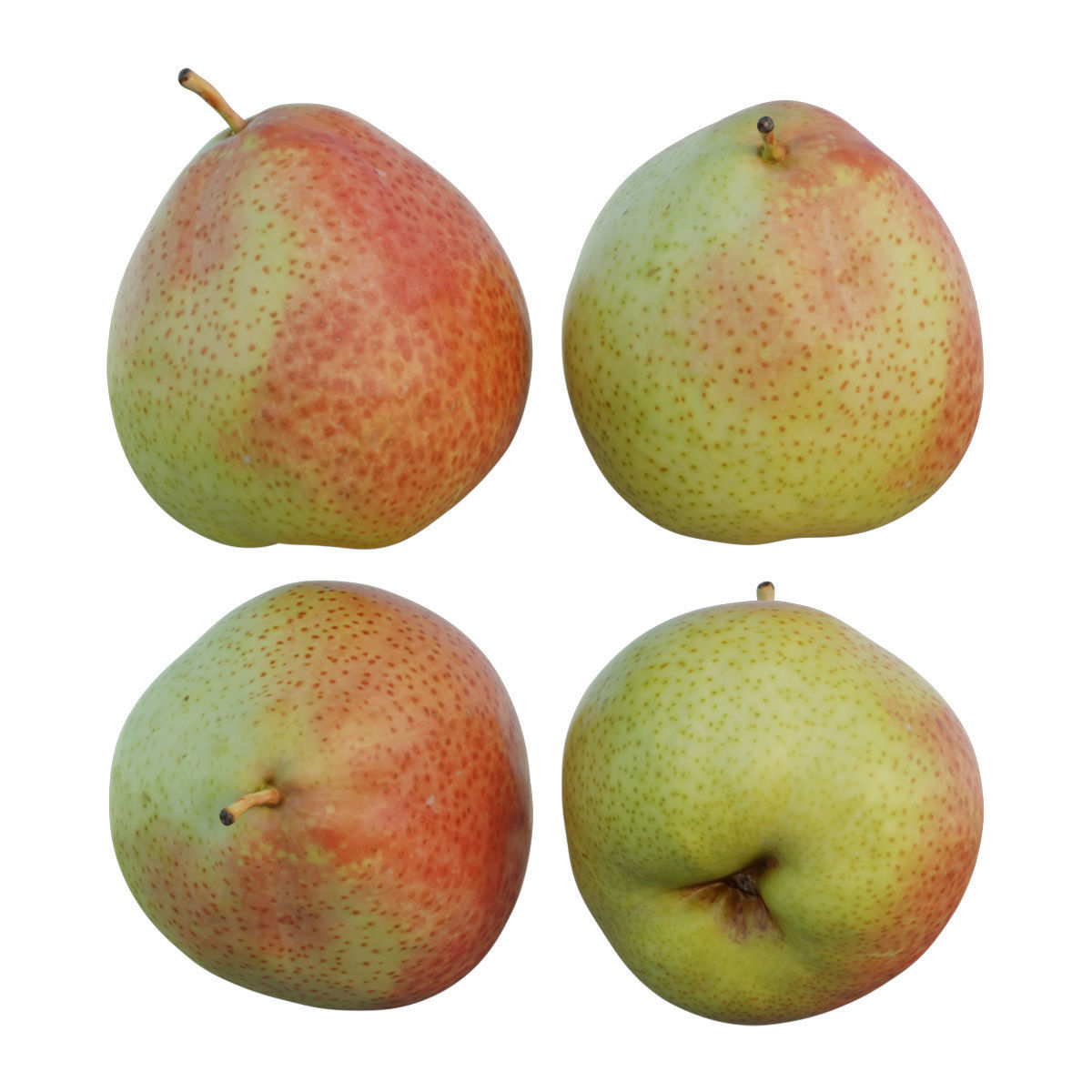 Cheeky pear 02 3D model_17