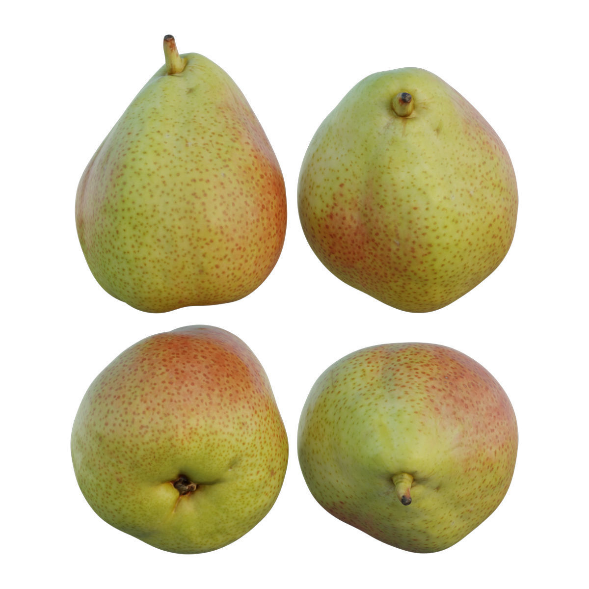 Cheeky pear 02 3D model_4