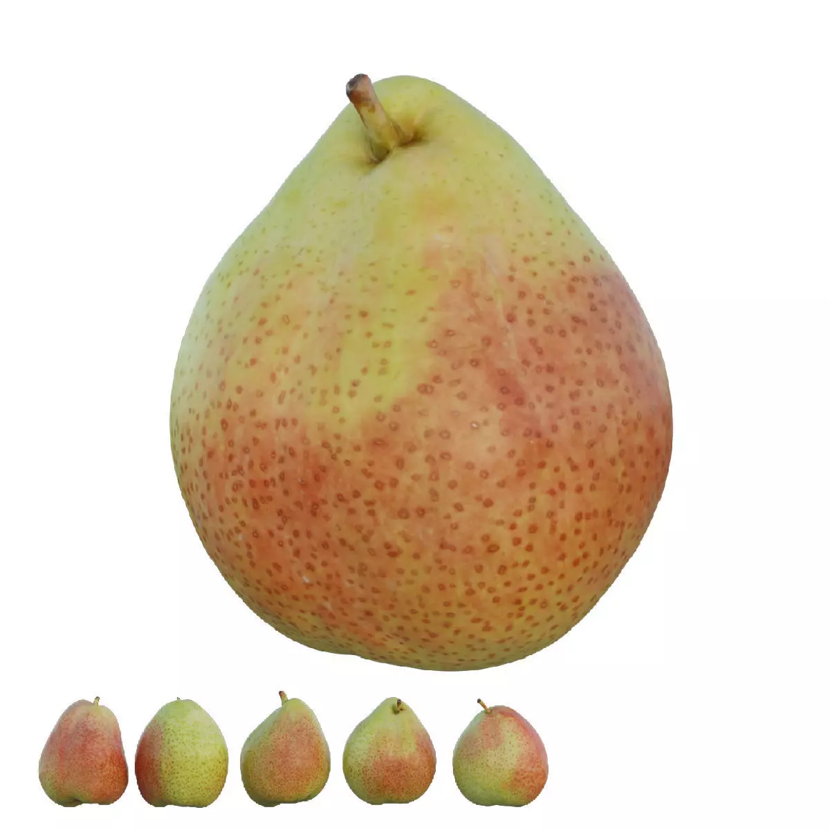 Cheeky pear 02 3D model_0