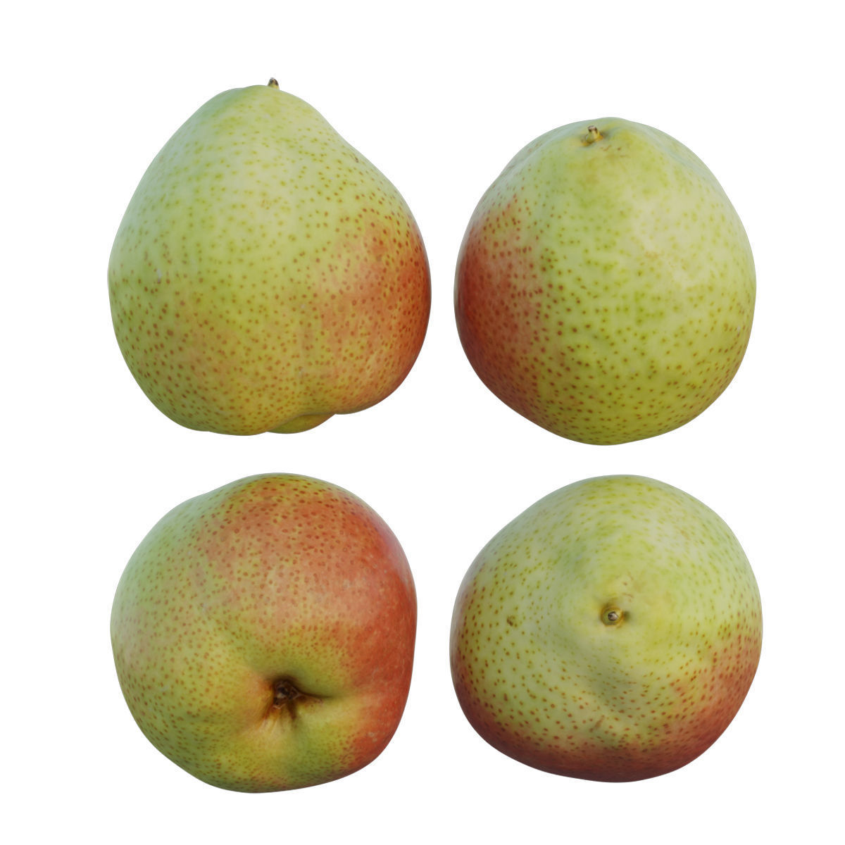 Cheeky pear 02 3D model_3