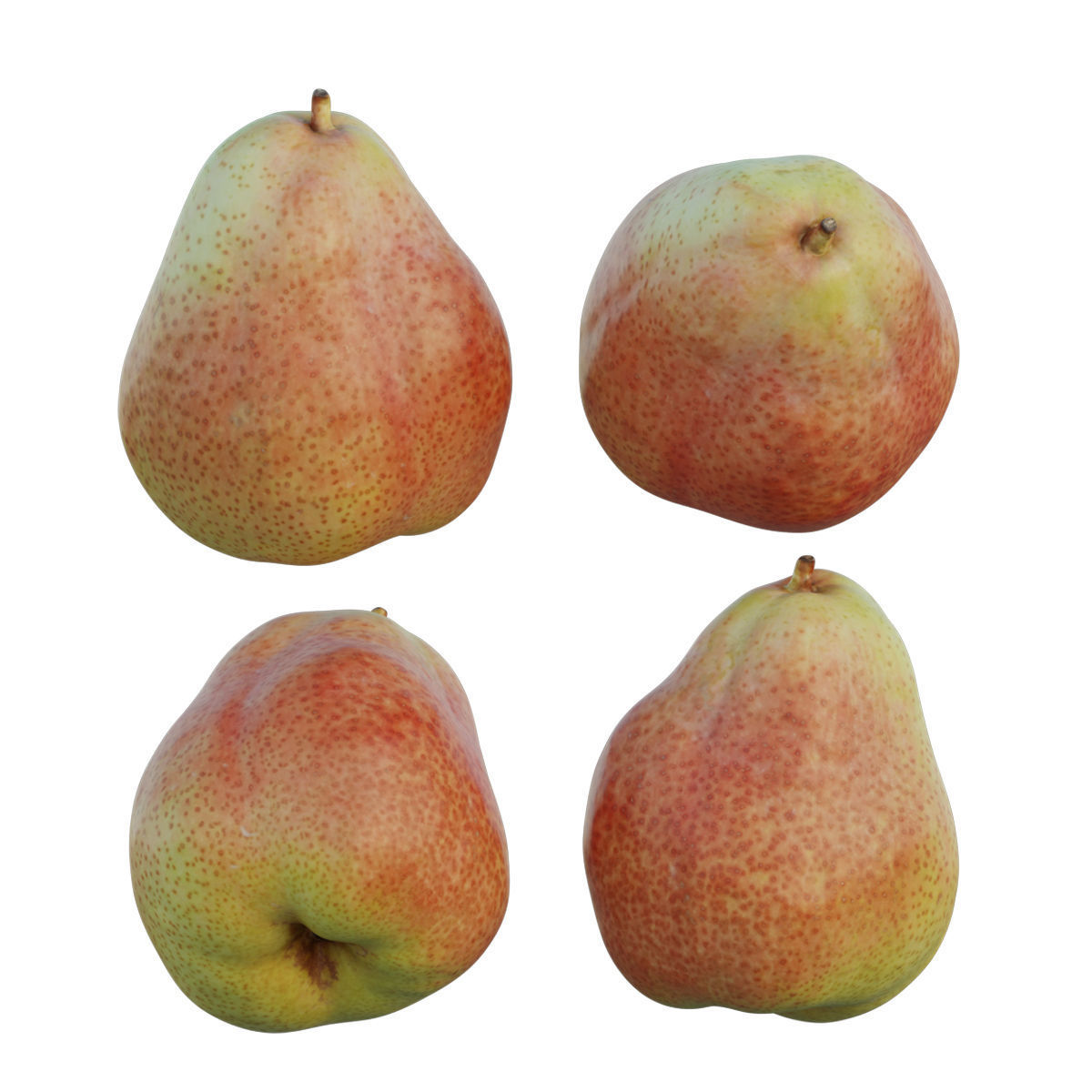 Cheeky pear 02 3D model_2