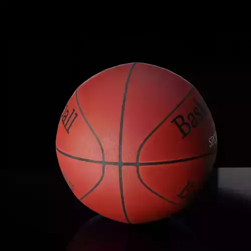 Basketball PBR ball