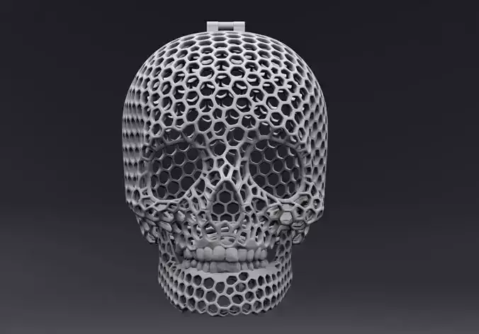 Skull Mesh
