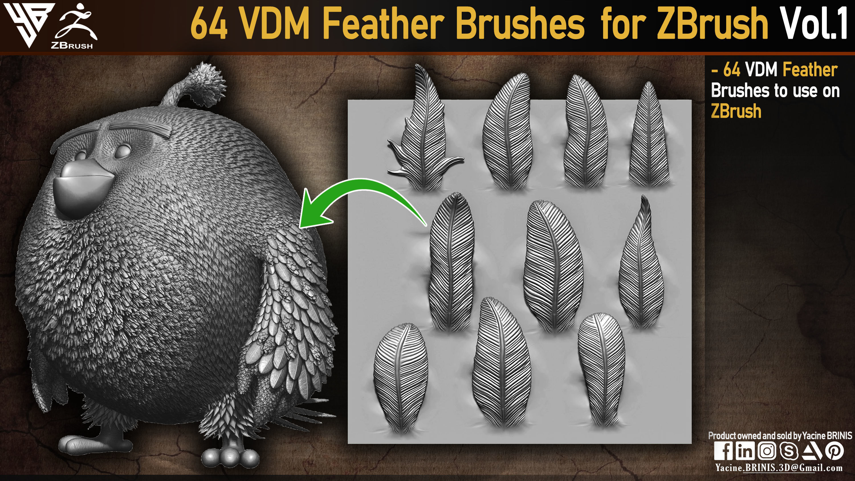 64 VDM Feather Brushes for ZBrush Low-poly 3D model_1