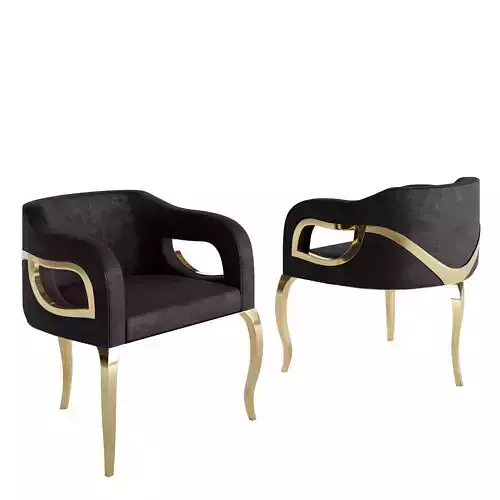 Armchair with Golden  accent