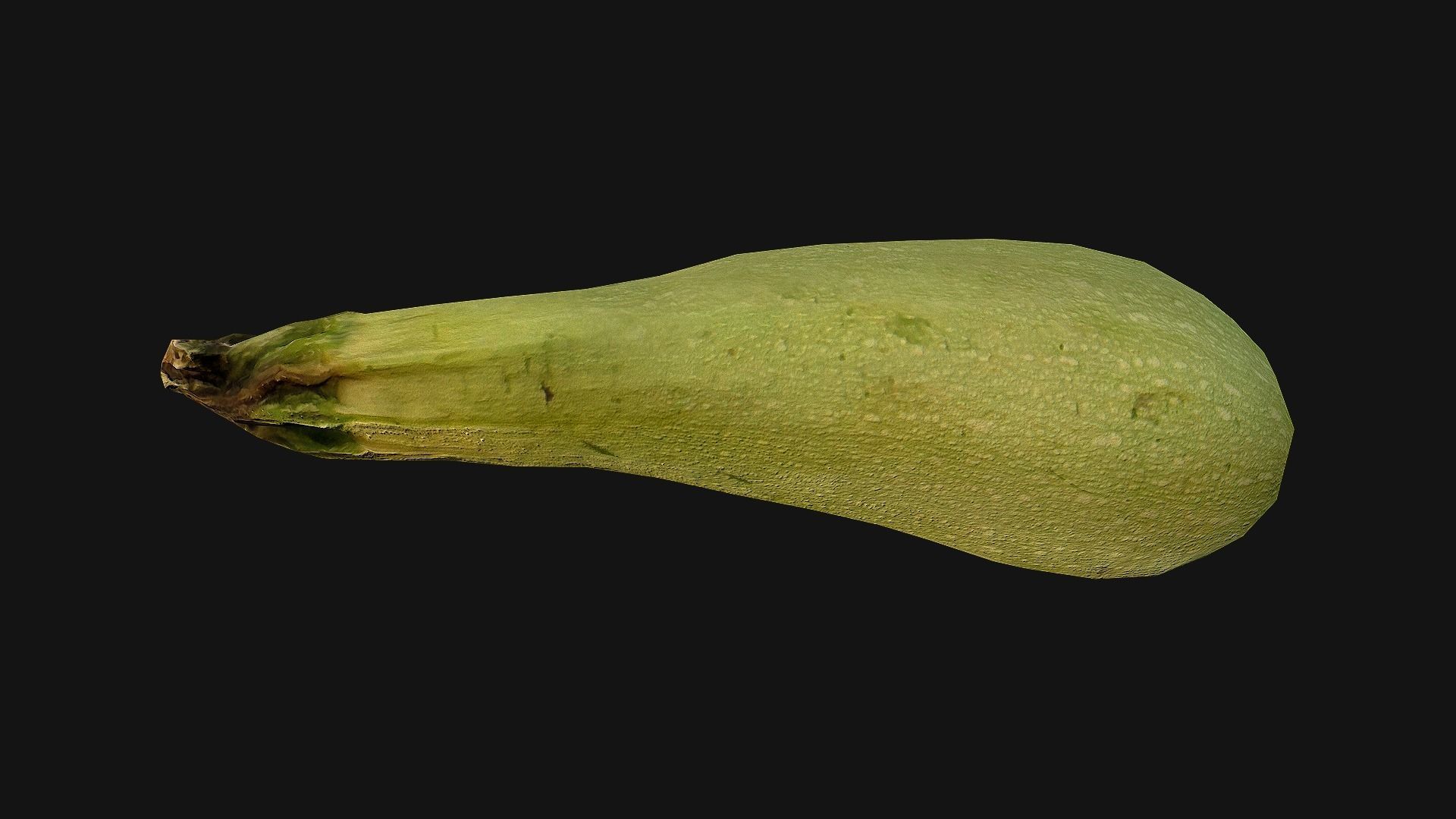Marrow squash Low-poly 3D model_18