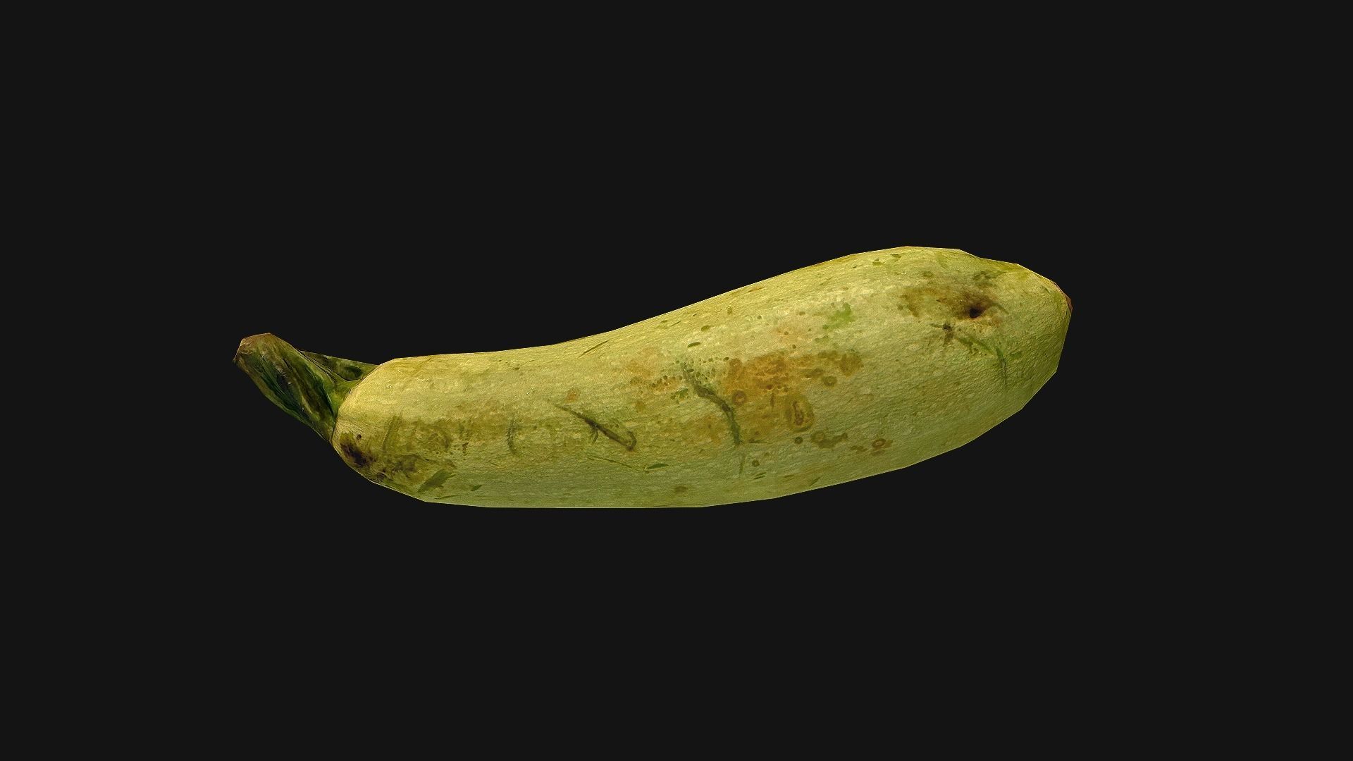 Marrow squash Low-poly 3D model_11