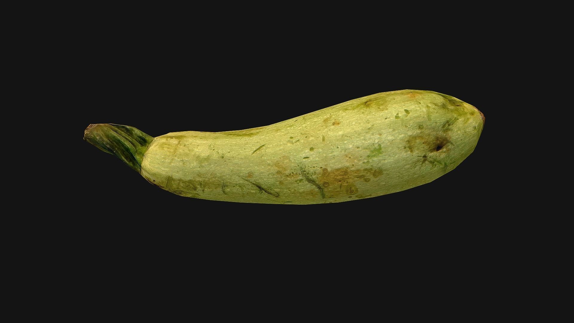 Marrow squash Low-poly 3D model_20