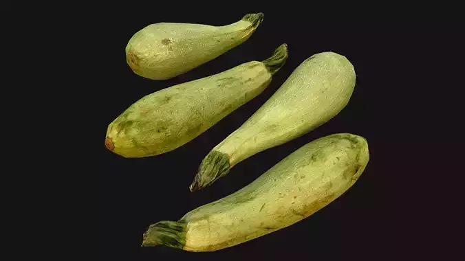 Marrow squash Low-poly 3D model