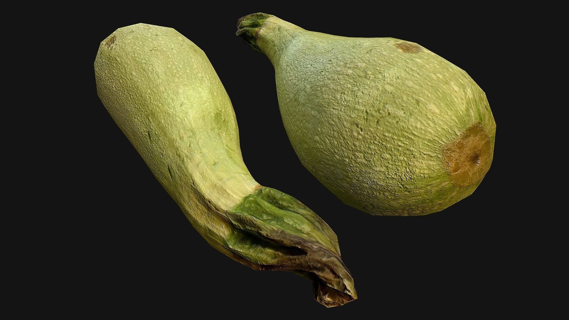 Marrow squash Low-poly 3D model_9